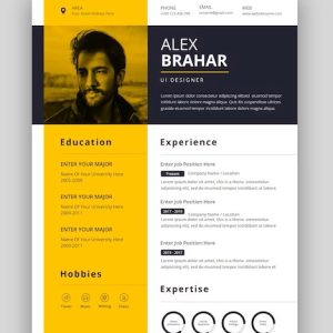 clean-modern-resume-cv-template_237398-315